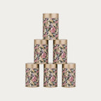 Pack of 6